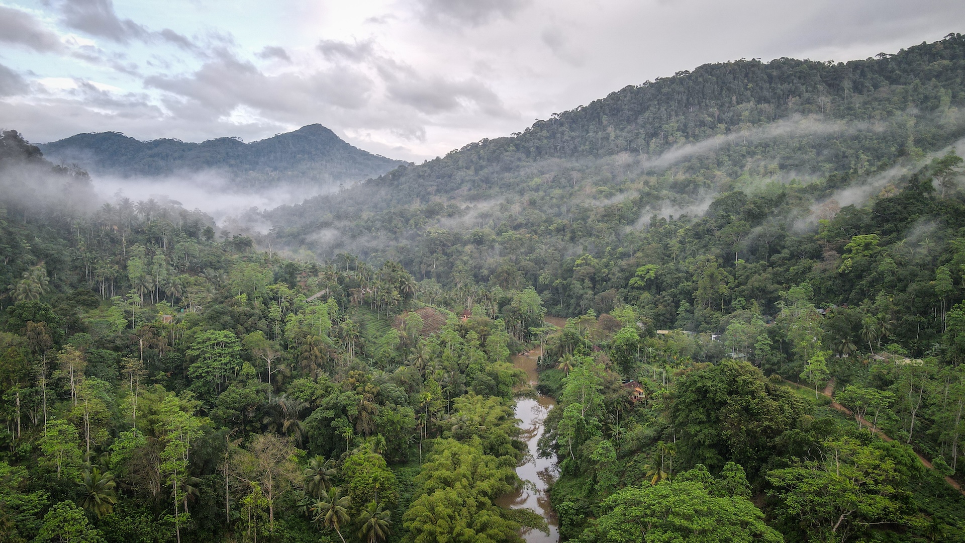 Sinharaja Reserve By Jakub